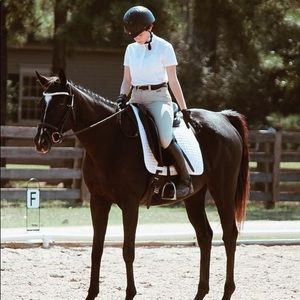 Meet your Posher, Alex